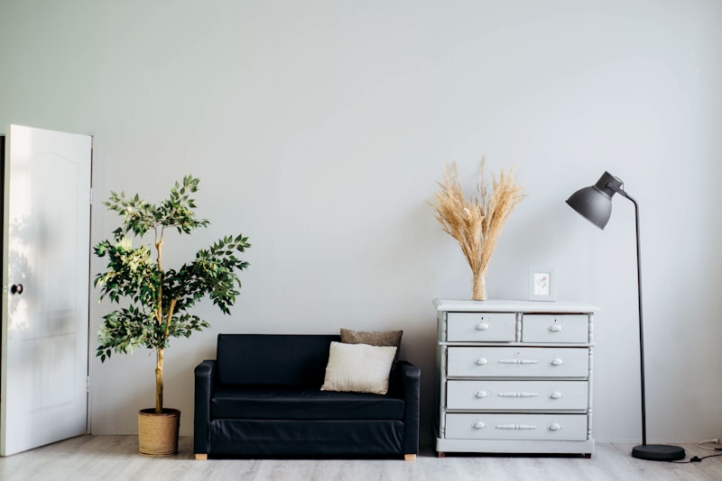 Minimalist living room with dark sofa, gray dresser, tall green plant, and floor lamp in natural light